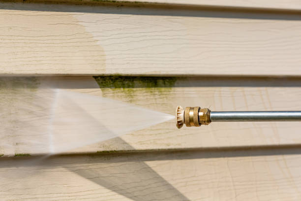 Best Roof Power Washing Services  in Mack, OH